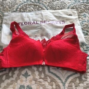 Red Lace Bra